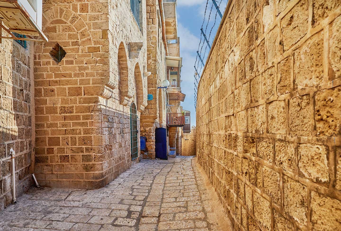 منزل تنفيذي بحديقة
